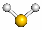 Hydrogen sulfide molecule