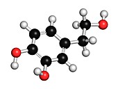 Hydroxytyrosol olive oil antioxidant molecule