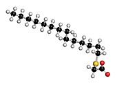 Tetradecylthioacetic acid molecule