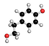 Tyrosol olive oil antioxidant molecule