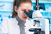 Scientist using microscope