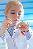 Scientist holding test tube