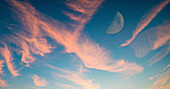 Half moon in sky with pink clouds