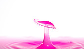 Pink liquid splashing