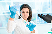 Scientist using pipette