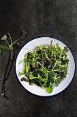 Various salad leaves with cress