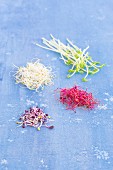 Alfalfa, beetroot, red radish, and pea shoots on a blue background