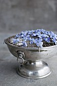 Candied violets being laid out to dry on a latticed silver bowl