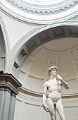 The David statue by Michelangelo at the Galeria dell' Accademia, Florence, Italy