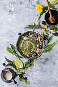 Spring green nettle and dandelion smoothie bowl served with lime, yellow flowers, young leaves, oat flakes, chia seeds, blueberries, cream and honey over gray blue texture background