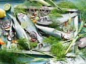 Still life with fennel leaves, bass, and onions