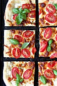 Vegetarian pizza with tomatoes and fresh basil