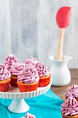 Cupcakes with berry cream