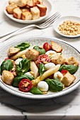 Bread salad with white asparagus, mozzarella, cherry tomatoes and basil