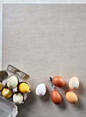 Natürlich gefärbte Ostereier auf Tisch und im Eierkarton
