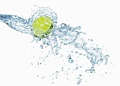 Limette mit Wassersplash