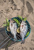 Fish barbecued on a beach with herbs and lemon