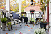 Chairs at bistro table and iron bench on veranda with autumn decorations