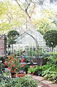Greenhouse and red-flowering potted plants in summery garden