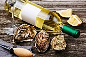 Oysters and bottle of wine on gray wooden background