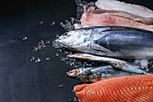 Variety of raw fresh fish. Whole tuna and herring, fillet of salmon, cod, red fish on crushed ice over dark wet metal background