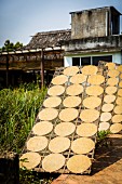 Rice paper drying in the sun in Hoi An, Vietnam