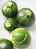 Round zucchinis in different sizes