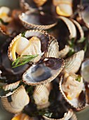 Steamed cockles (close-up)