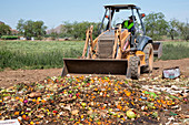 University food waste composting program, Tucson, USA