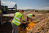 University food waste composting program, Tucson, USA