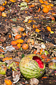 University food waste composting program, Tucson, USA