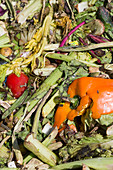 University food waste composting program, Tucson, USA