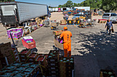 Food bank warehouse, USA