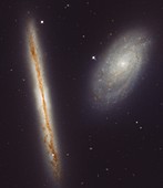 Spiral galaxies NGC 4302 and NGC 4298, infrared HST image