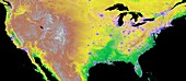 USA and city lights, GLOBE map