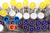 Microbial sample transport swabs and tubes