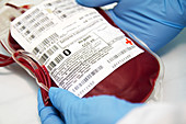 Donor blood analysis