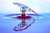 Water drop impact, high-speed photograph