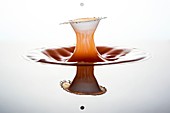 Water and milk drop impact, high-speed photograph