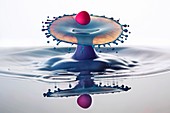 Water and milk drop impact, high-speed photograph