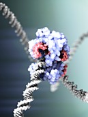 CRISPR-Cas9 gene editing complex, illustration