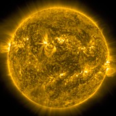 The Sun, SDO image