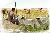 Neolithic agriculture, illustration