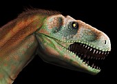 Artwork of Megalosaurus Dinosaur