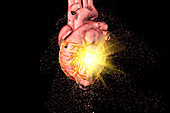 Heart destruction, conceptual illustration