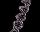 DNA Helix 4