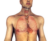 Respiratory Cardio 2