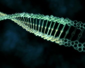 DNA Helix 6