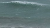 Huge waves during Typhoon Soudelor