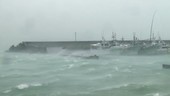 Boats in harbour during Typhoon Vongfong